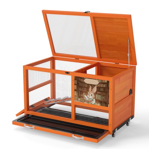 Wood rabbit guinea pig - rabbit,