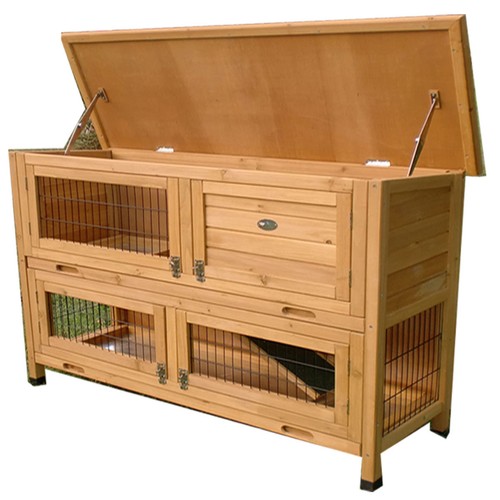 Rabbit hutch roger guinea - rabbit,