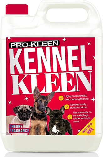Prokleen kennel kleen cherry - prokleen,