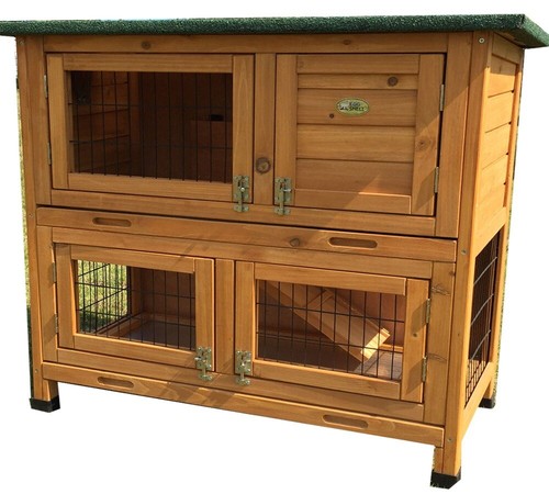 Rabbit hutch guinea pig ferret - guinea,