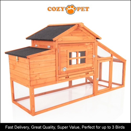 Chicken coop cozy pet - chicken,