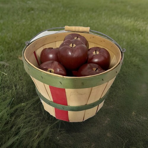 Vintage wooden red apple - 9,