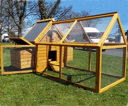 Chicken coop hen house - chicken,